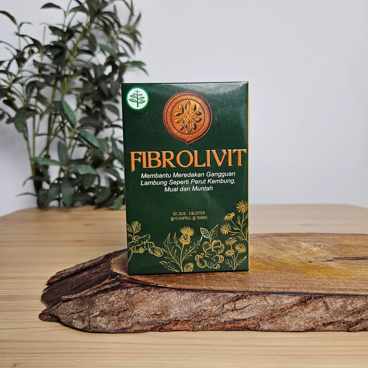 Dus Fibrolivit dari sudut tiga perempat